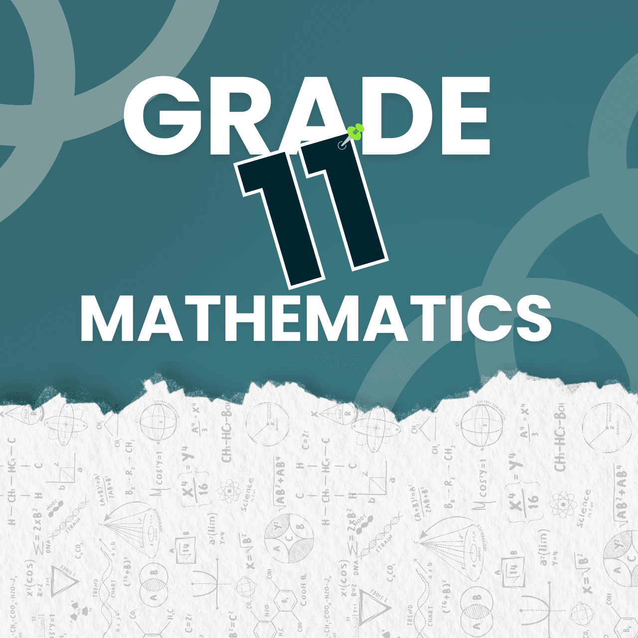 Class 11 CBSE